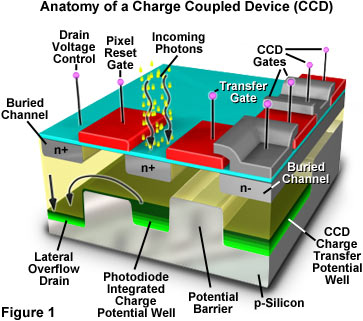 charge coupled device